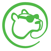 CapiByte