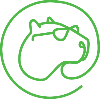 CapiByte Logo